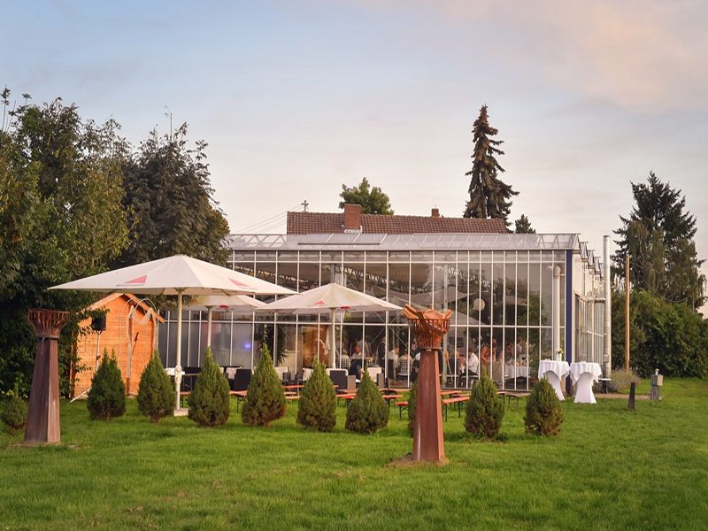Ein unvergessliche Hochzeit im Gwächshaus und der richtige Hochzeitsfotograf
