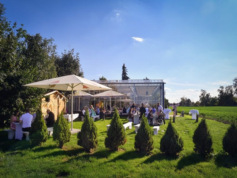 Wir sichern einzigartige Momente im Gwächshaus mit einem erfahrenen Hochzeitsfotografen