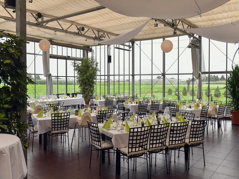 Planen Sie Ihre Hochzeit im Gwächshaus und sammeln Sie mit dem Hochzeitsfotografen Erinnerungen